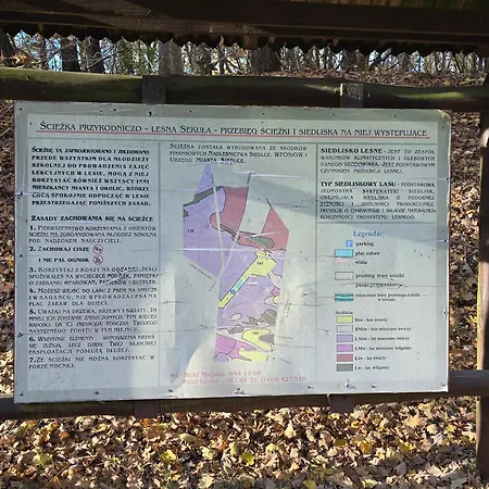 Rzymska Lejlighed Grabianow