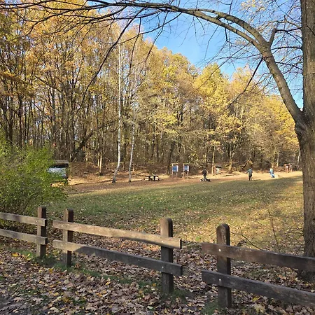 Rzymska Lejlighed Grabianow